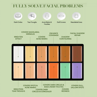 IMAGIC 12 COLOR CONCEALER PALETTE (FA-137)
