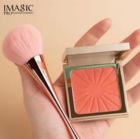IMAGIC BLUSH BRUSH (PINK)