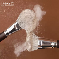 IMAGIC 21 Pcs PROFESSIONAL BRUSH SET