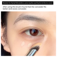 IMAGIC CONCEALER AND NOSE SHADOW BRUSH (448-6)